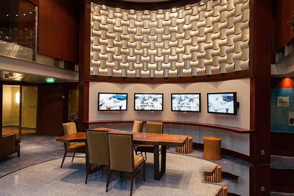 Celebrity Equinox Gallery Image